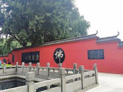 -百脉泉景区