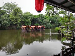 -侨美·唐荔园·40年地道粤菜