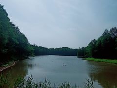 -上海海湾国家森林公园