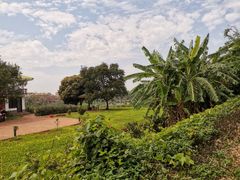 -侯臣咖啡文化村