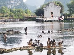 -靖西鹅泉风景区