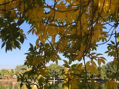 -渔公馆·川菜馆·家宴·生日宴(大地中央广场店)