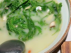 上汤桑叶苗-大榕树下顺德菜(融创茂店)