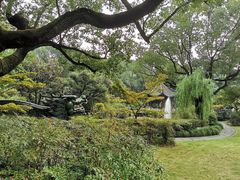 -申粤轩酒楼·三十年粤菜经典(丁香花园店)