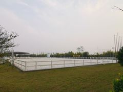 -上海崇明金茂凯悦酒店