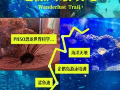 -深圳野生动物园