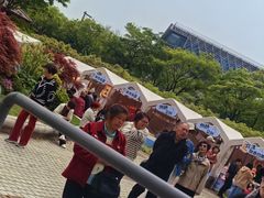 -嘉定紫藤园