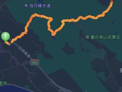 -南山植物园