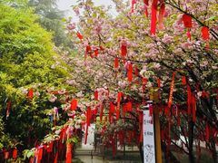 -穹窿山景区