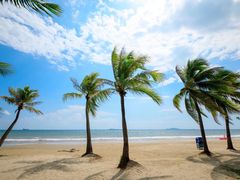 -瑰丽酒店·海吧·天际下午茶·现场DJ·天台酒吧