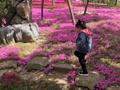 -南通洲际绿博园