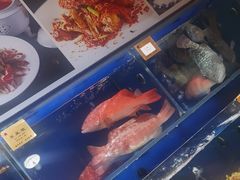 -鹊华居·地道鲁菜·海鲜·融合味(大明湖店)