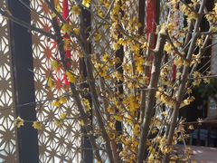 -大妙火锅·非物质文化遗产(东湖公园店)