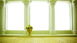 -盘子古摄影(顶务店)