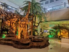 -甘肃地质博物馆