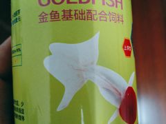 -哈尔滨道外花鸟鱼市场
