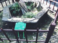 -水绘园