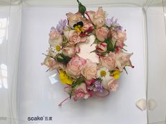 -5Cake五度无蔗糖低脂蛋糕(陶然亭店)