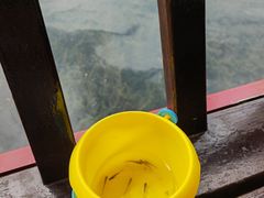 -成飞公园