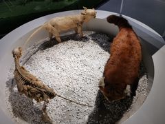 -生命奥秘博物馆