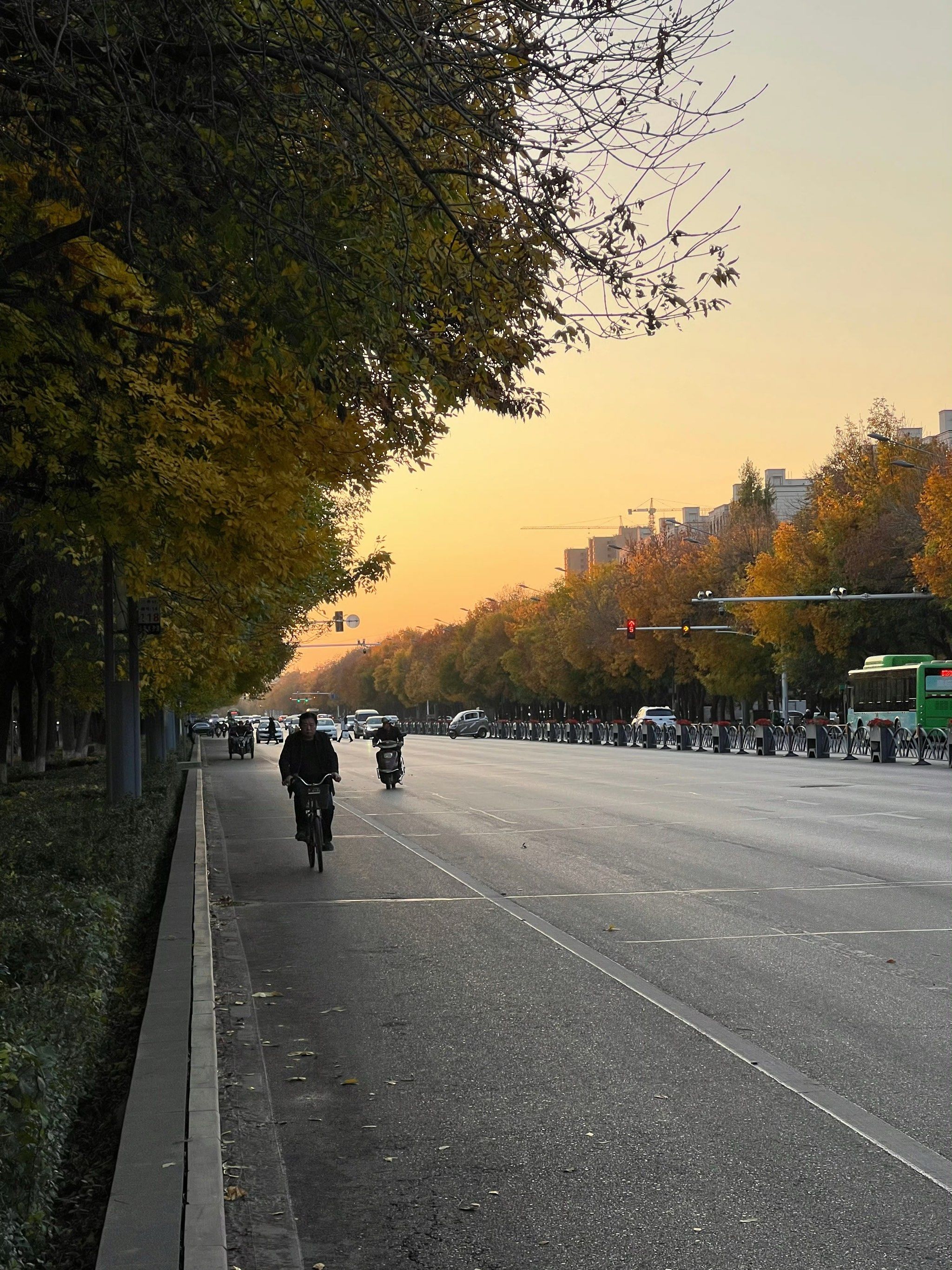 中转奎屯,一座正值金秋的安逸小城