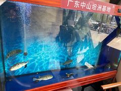 -肆月河豚·新淮扬(金融街店)
