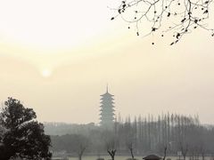 -宜兴龙背山森林公园