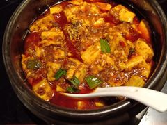 -陈麻婆豆腐总店