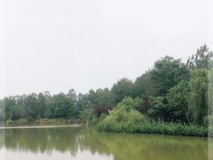 -白鹭湾湿地公园