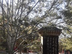 -碑林公园