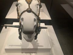 -秦始皇帝陵博物院(兵马俑)