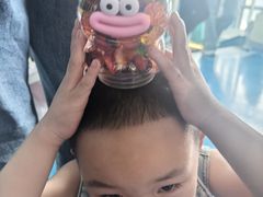 -海合安成都极地海洋公园