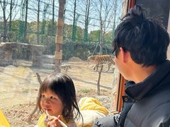 -上海野生动物园老虎餐厅