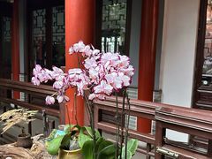 -威高民俗文化邨