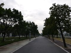 -顺德职业技术大学