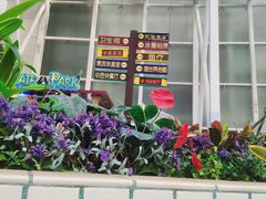 -天山海世界·米立方