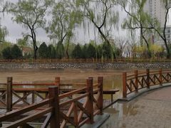 -迎泽公园