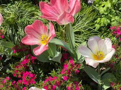 -浙江西子宾馆·瑶园咖啡厅