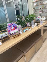 点击看大图 -dōTERRA多特瑞精油生活馆