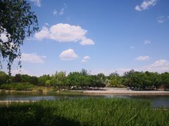 -永定河休闲森林公园