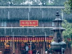 -龙华素斋(龙华路店)