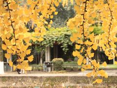-四川大学(望江校区)