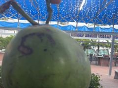 -墨脱石锅椰子鸡•香草鸭•东山羊(大东海店)