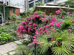 -谷咖啡·鲜花绿植花园餐厅