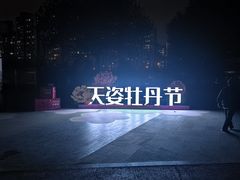 -太阳宫公园