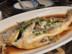 清蒸鲈鱼-老广酒楼(樱花店)