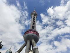 -上海大自然野生昆虫馆(东方明珠·爬宠昆虫探索中心)