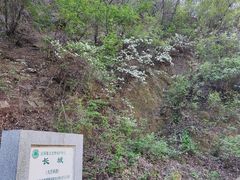 -龙泉峪长城