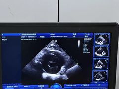 -pd派德宠物中心医院24H急重症·眼科中心·血液透析中心(嵩山北路店)