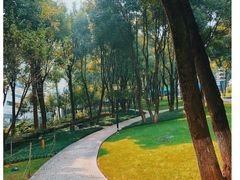 -重庆市江北嘴中央商务区中央公园